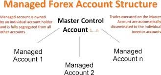 Forex Managed Account 30% - 40% Profit