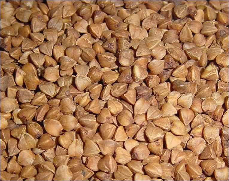 Top Quality Roasted Buckwheat