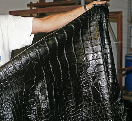 100% Pure Alligator Leather For Handbags And Notebook Cover Production