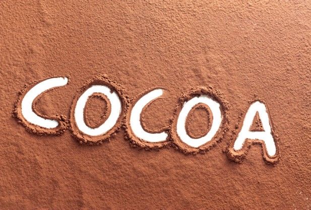 Natural Cocoa Powder With High Fat 20-22%