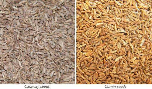 Top Quality Caraway Seeds,Cumin Seeds,Black Cumin Seeds, Anise Seeds,Ajwain Seeds,Fennel Seeds Available In Bulk
