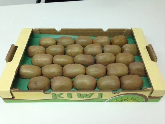 Fresh Kiwi Fruits