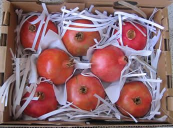 Grade 1 Pomegranate Fruits