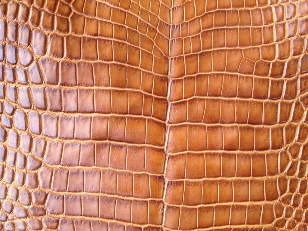 Top Quality Genuine Excotic Leather Skins And Hides