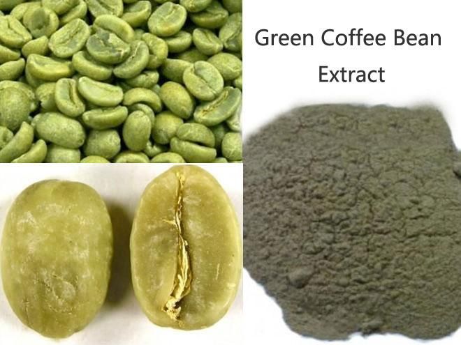 Organic Raw Robusta And Arabical Green Coffee Beans