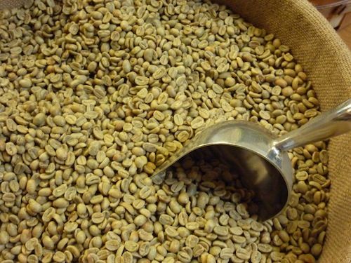 High Quality Arabica And Robusta Green Coffee Bean