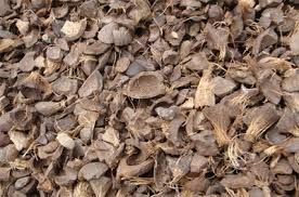 High Quality Palm Kernel Shell