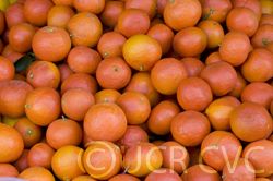 fresh Mandarin-  Honey  tangerine