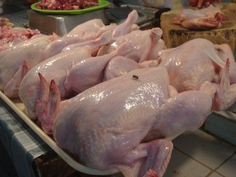 Halal Frozen Chicken Parts