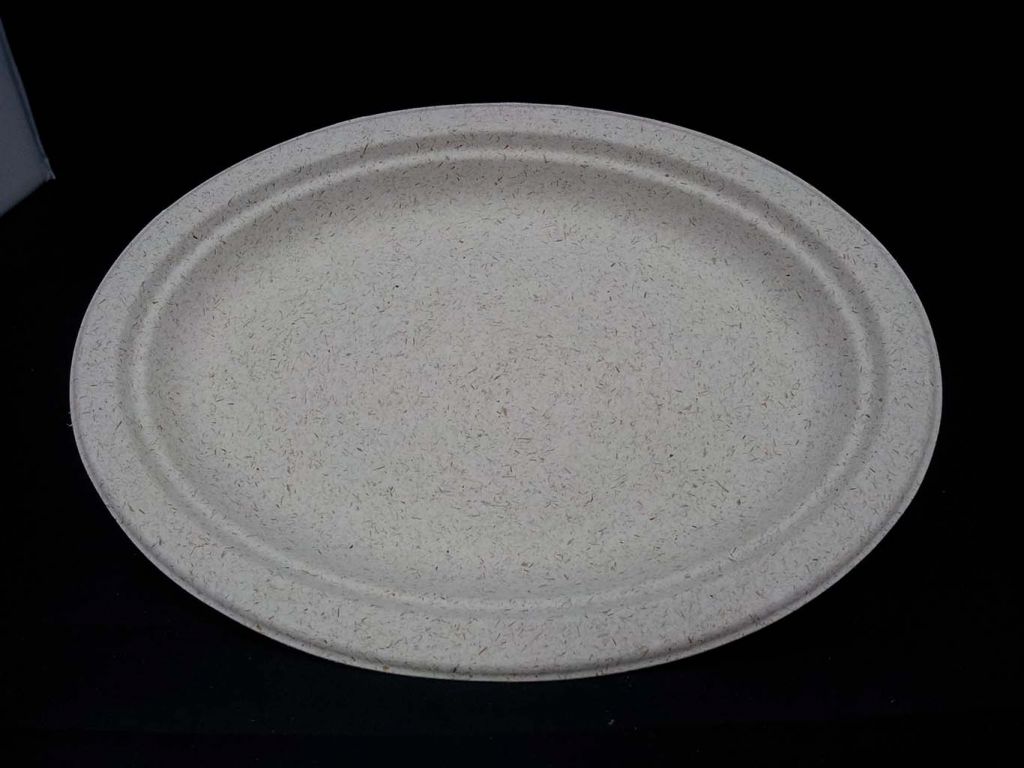 Biodegradable Small Oval Plate