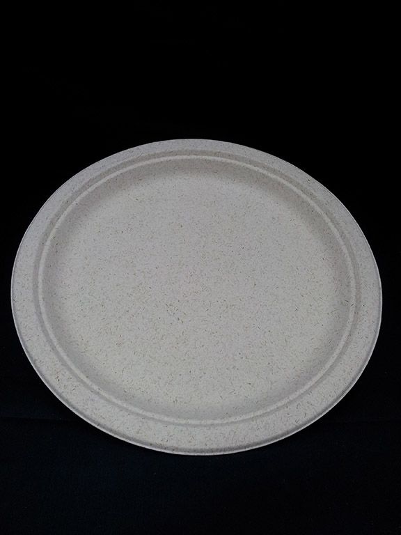 Biodegradable 10'' Round Plate
