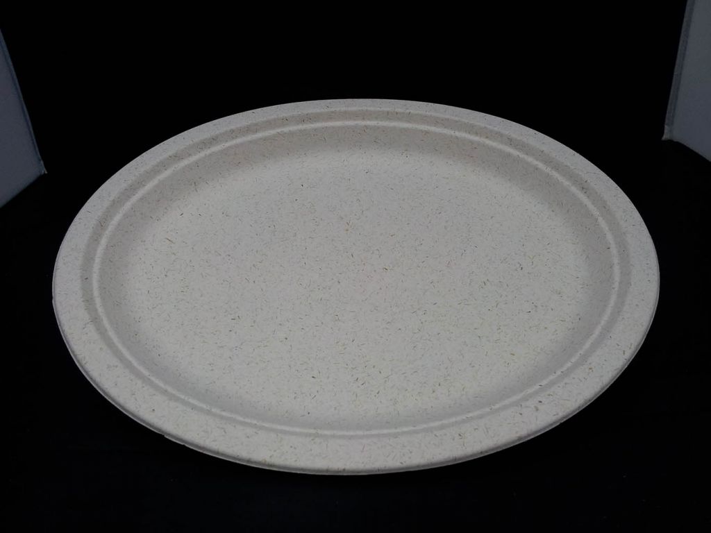 Biodegradable Large Oval Plate