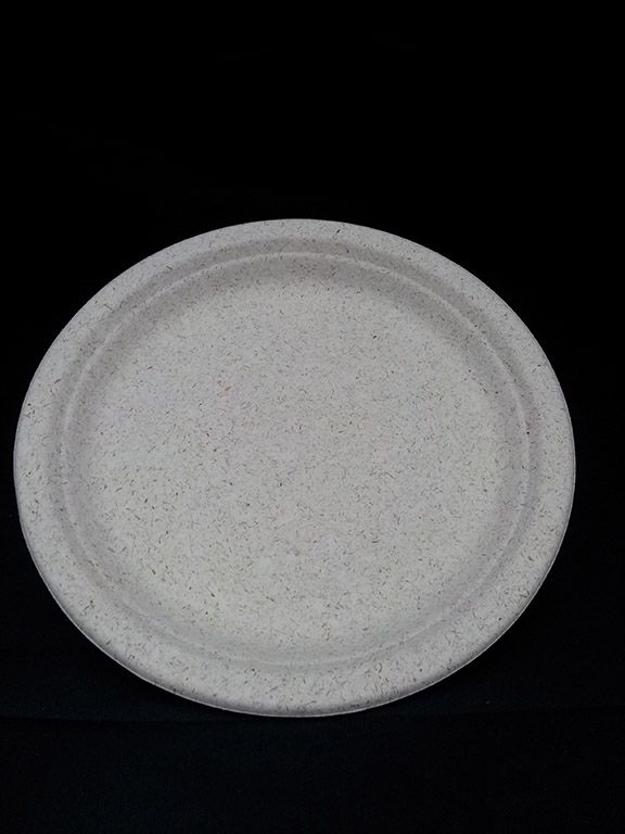 Biodegradable 9'' Round Plate