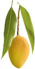 Yemeni Alphonso Mango