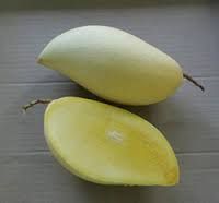 Yemeni Totapuri Mango