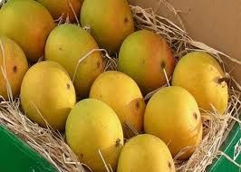 Yemeni Raspuri Mango