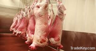 HALAL FRESH LAMB CARCASS