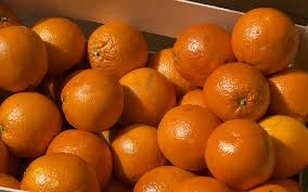 fresh oranges