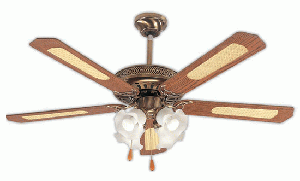 decorative ceiling fan