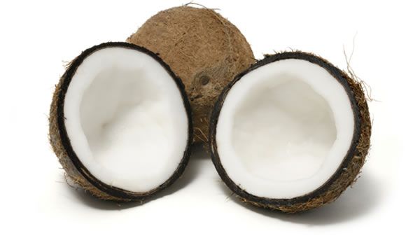 Coconut Fiber