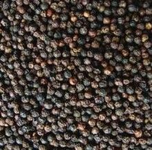 Black pepper essential oil