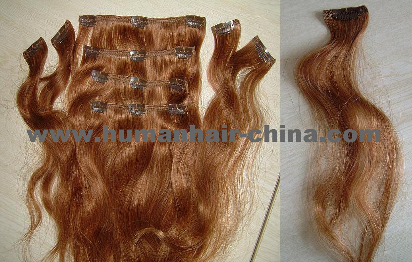 clip on human hair extension