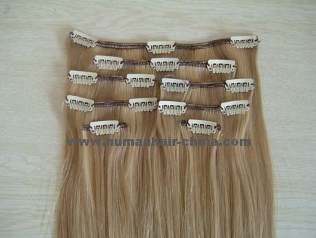 clip on human hair extension