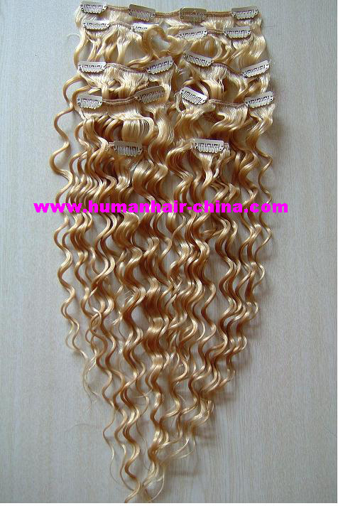 clip on human hair extension