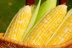 Corn