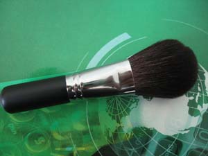 blush brush