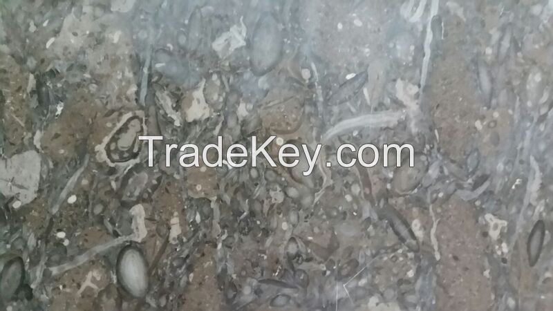 Fossil Brown Limestone pakistan marble