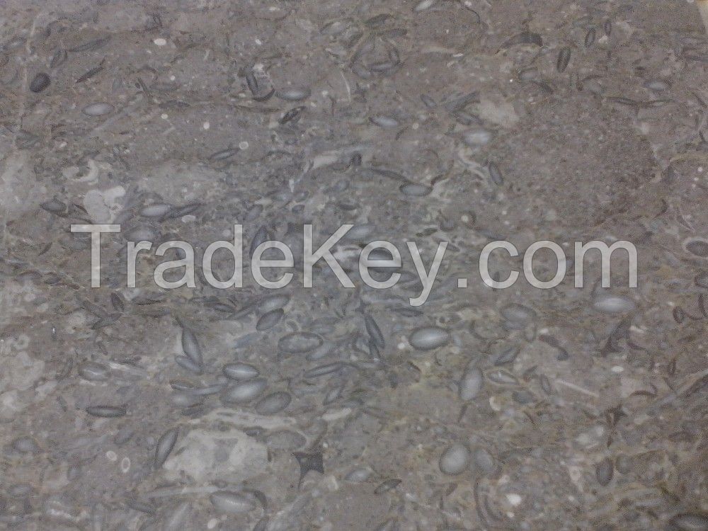 Fossil Brown Limestone pakistan marble