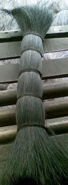 Suggar palm fiber