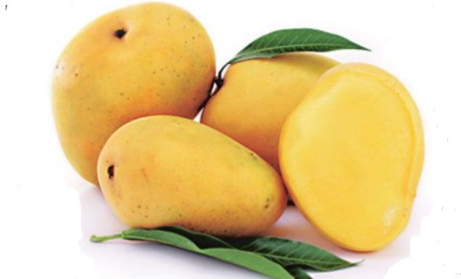 mango exporters from pakistan