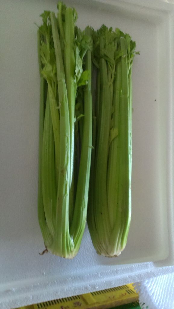 Fresh Celery