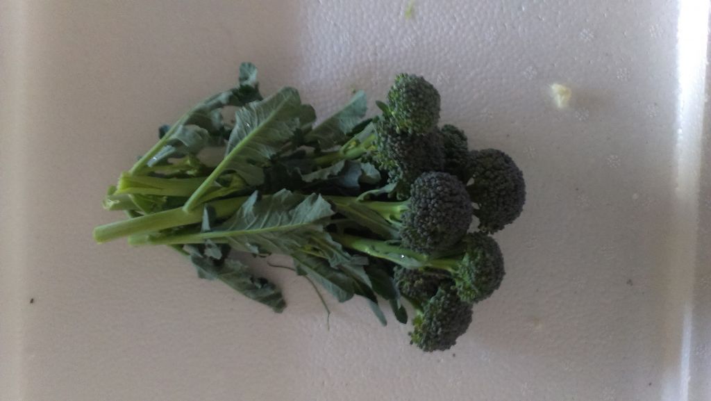 Fresh Broccoli Sheet
