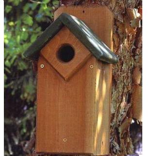 premium cedar Bird house