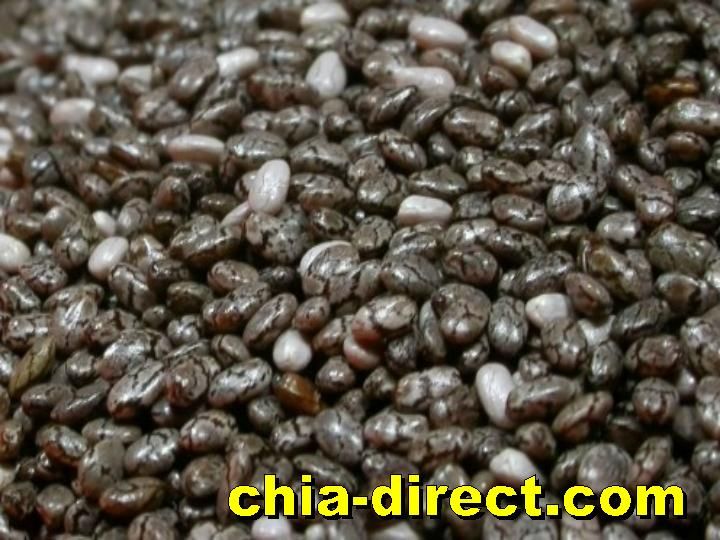 chia seeds