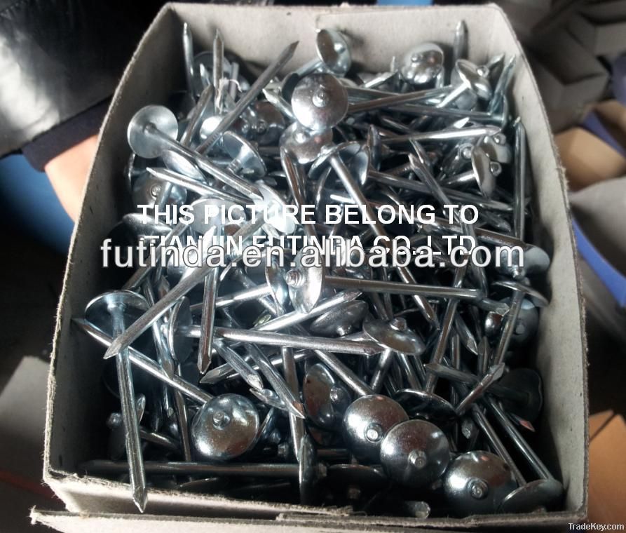 Galvanized Roofing Nails