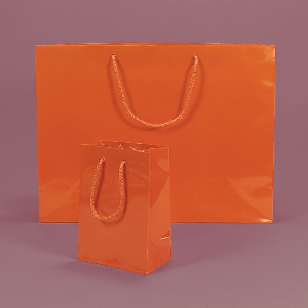  Color Glossy Paper Bags