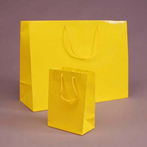  Color Glossy Paper Bags