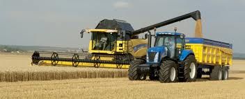 Wheat Barley, Corn, Oats, Soybeans, Spelt, alfalfa cultivation, olive oil