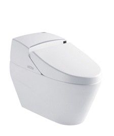 Ceramic Two Piece Washdown Water Closet 