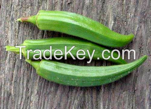 okra(ladies finger)