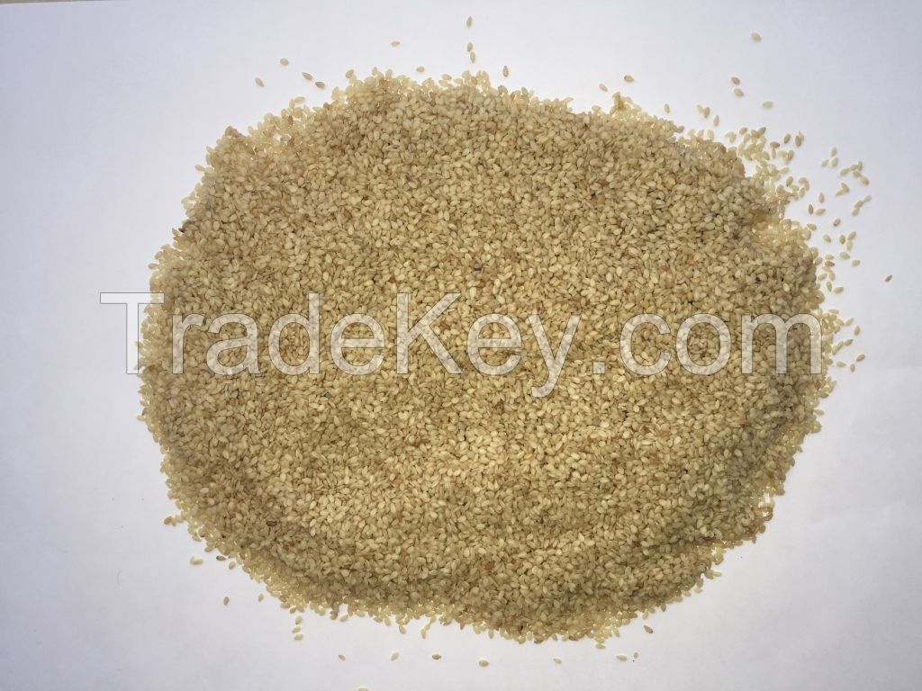 Premium Hulled White Sesame Seed ------ Bangladesh Origin