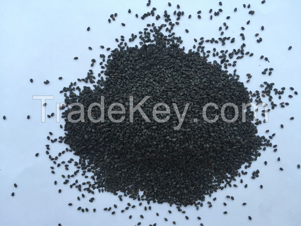 Premium Natural Black Sesame Seed ------ Bangladesh Origin