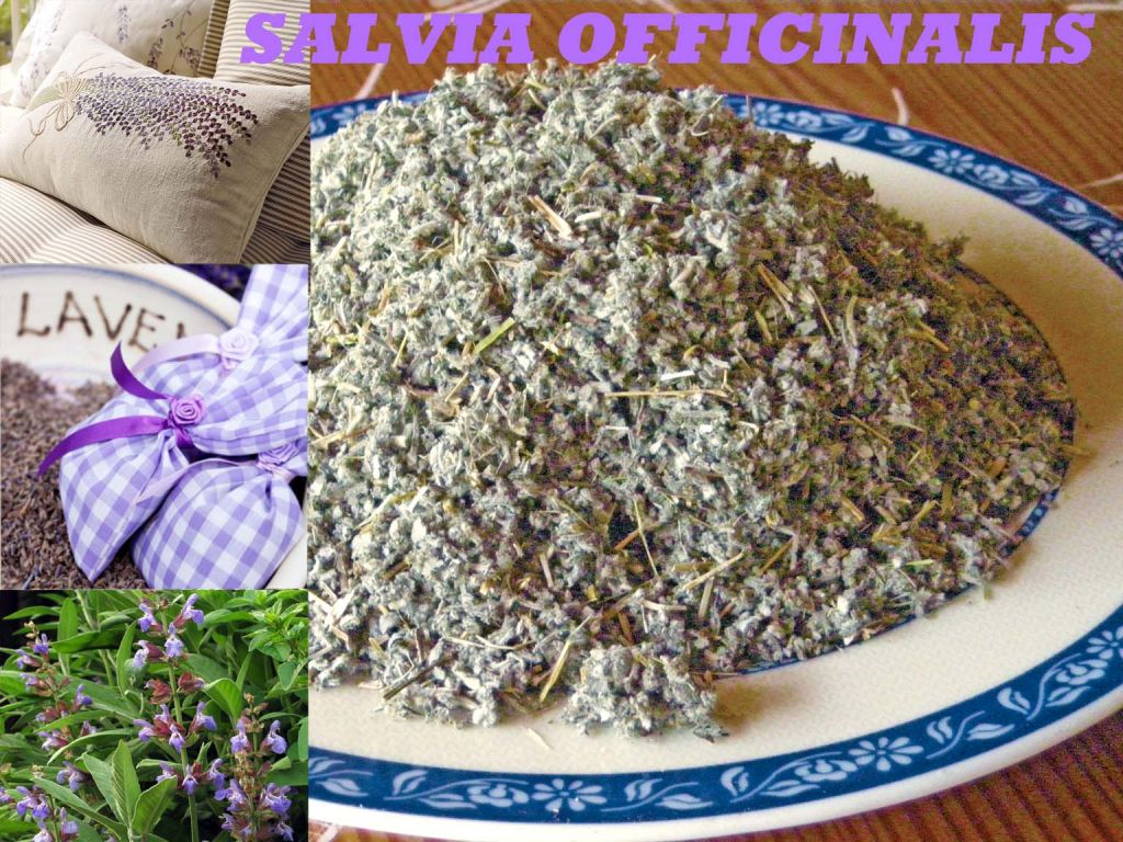 Lavender, lavanda dried flower