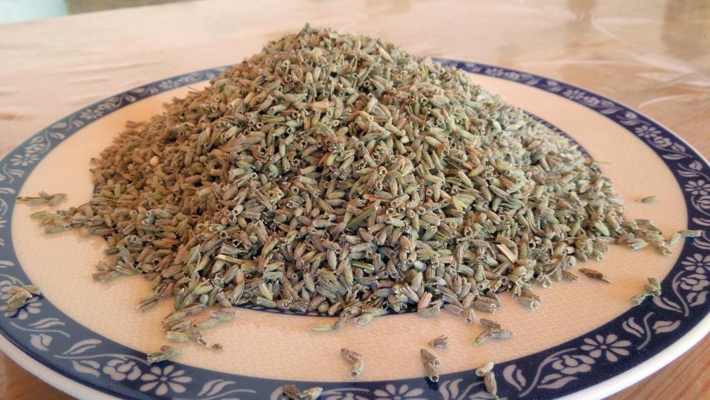 Lavender, lavanda dried flower