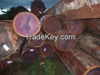 (PRH) Purpleheart Round Logs