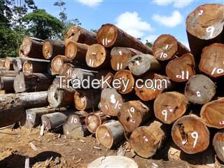 (BAS) Basralocus Round Logs